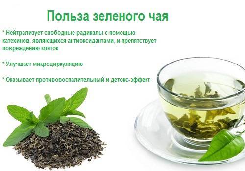 Зелёный чай при беременности: состав, можно ли пить беременным, в каком количестве, польза и возможный вред напитка
