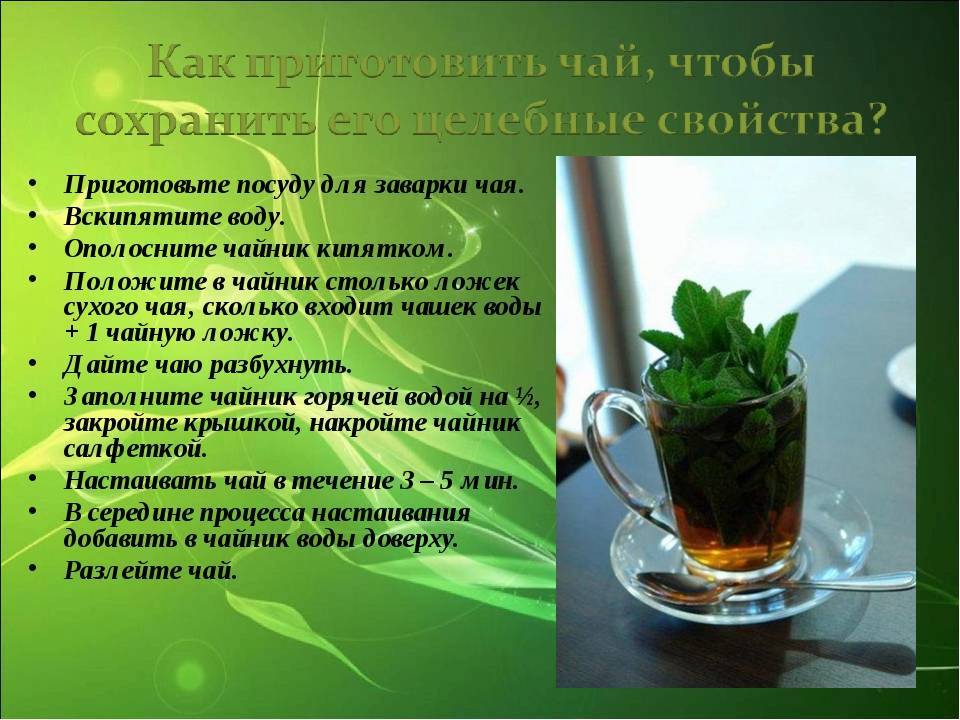 Зеленый чай с мятой – очень ароматный и тонизирующий напиток