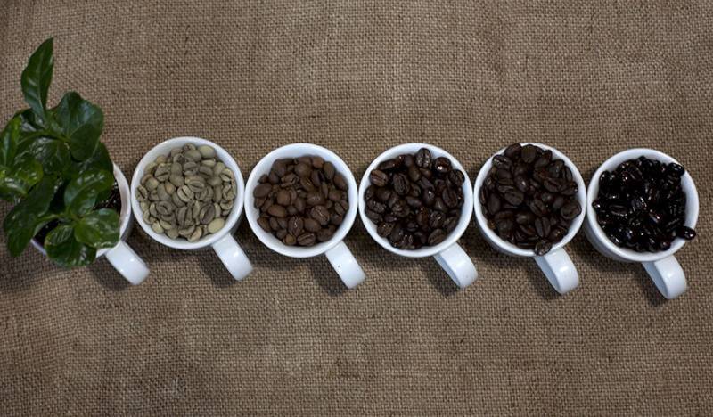 Почему кофе кислит: состав зерен, способ обработки, сортовые особенности