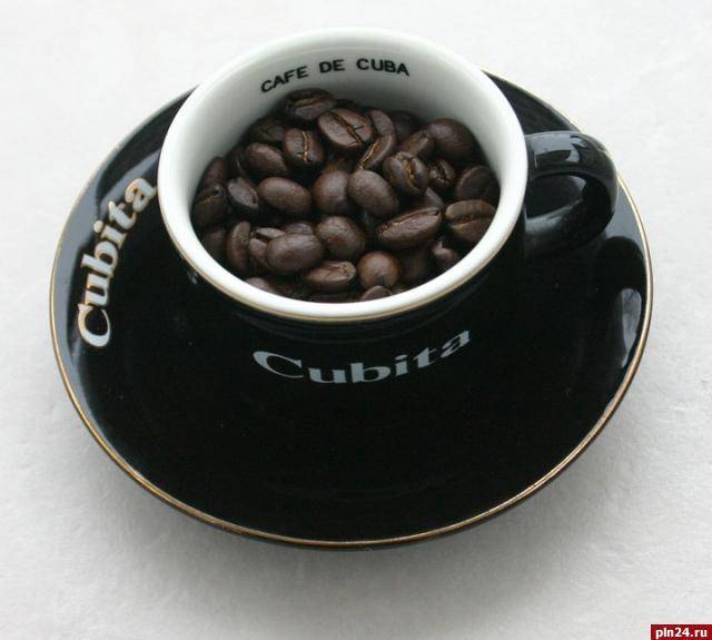 Лучший кубинский кофе — известные сорта и марки