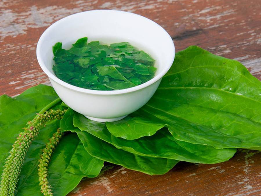 Полезные свойства травяного чая. как приготовить травяной чай в домашних условиях?
