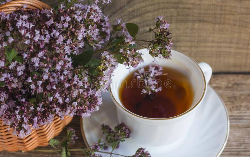 Успокаивающий чай для нервной системы, рецепты