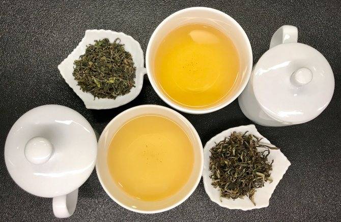 Чай молочный улун: польза, вред и особенности чая