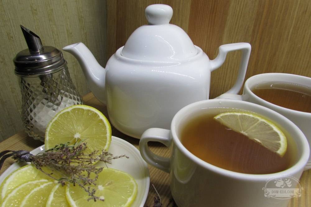 Чай с душицей: 8 простых рецептов, которые кое-кому могут навредить