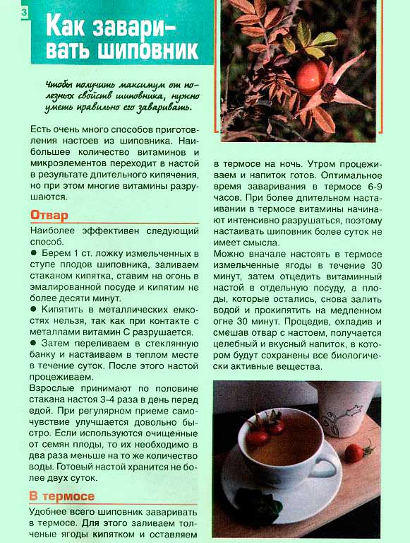 Фарматека » боярышник (crataegus): возможности медицинского применения