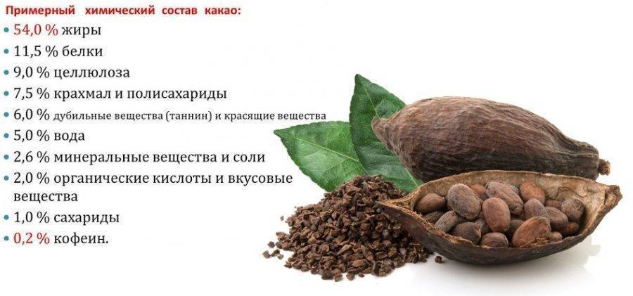 Что содержится в какао порошке? - состав продукта