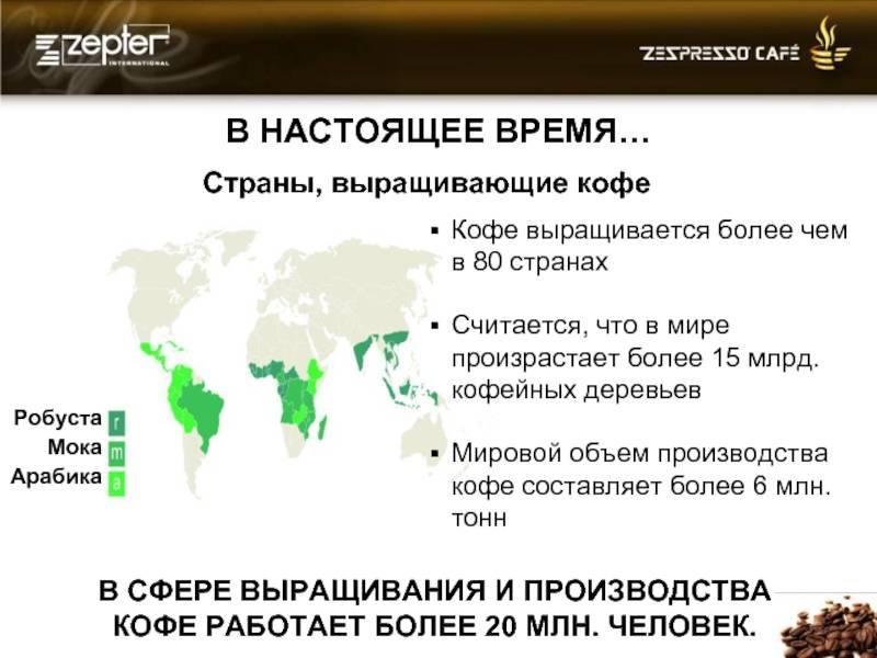 Можно ли выращивать кофе в россии 2021