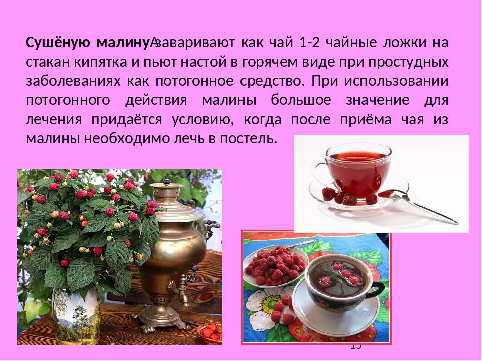 Чай из листьев малины???? польза и вред, 17 свойств для здоровья, исследования