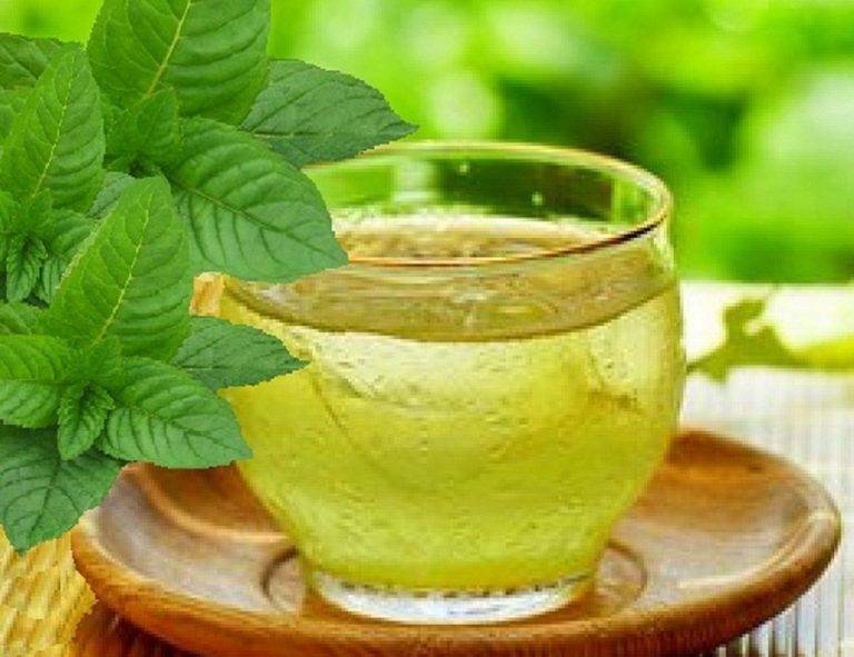 Как использовать зеленый чай от прыщей?