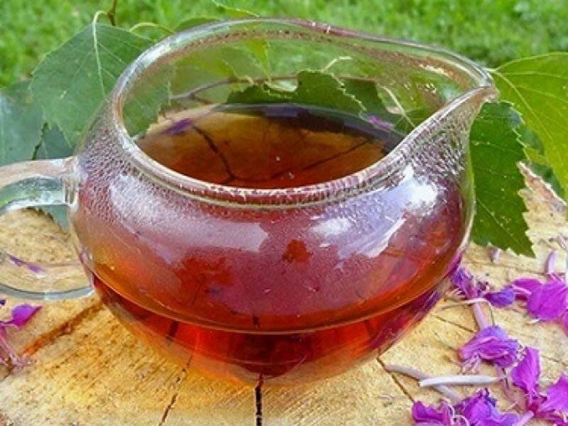 Польза и вред копорского чая. лечебные свойства и противопоказания иван-чая (кипрея)
