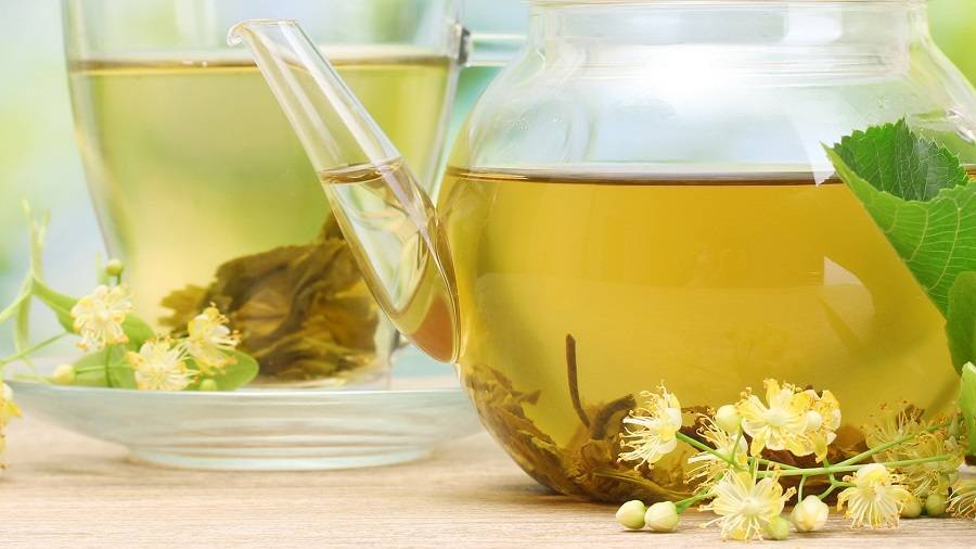 Цветки липы: полезные свойства и противопоказания, польза и вред, применение чая из липового цвета в лечебных целях