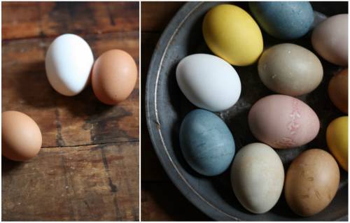 Как покрасить яйца в зеленый цвет натуральными красителями