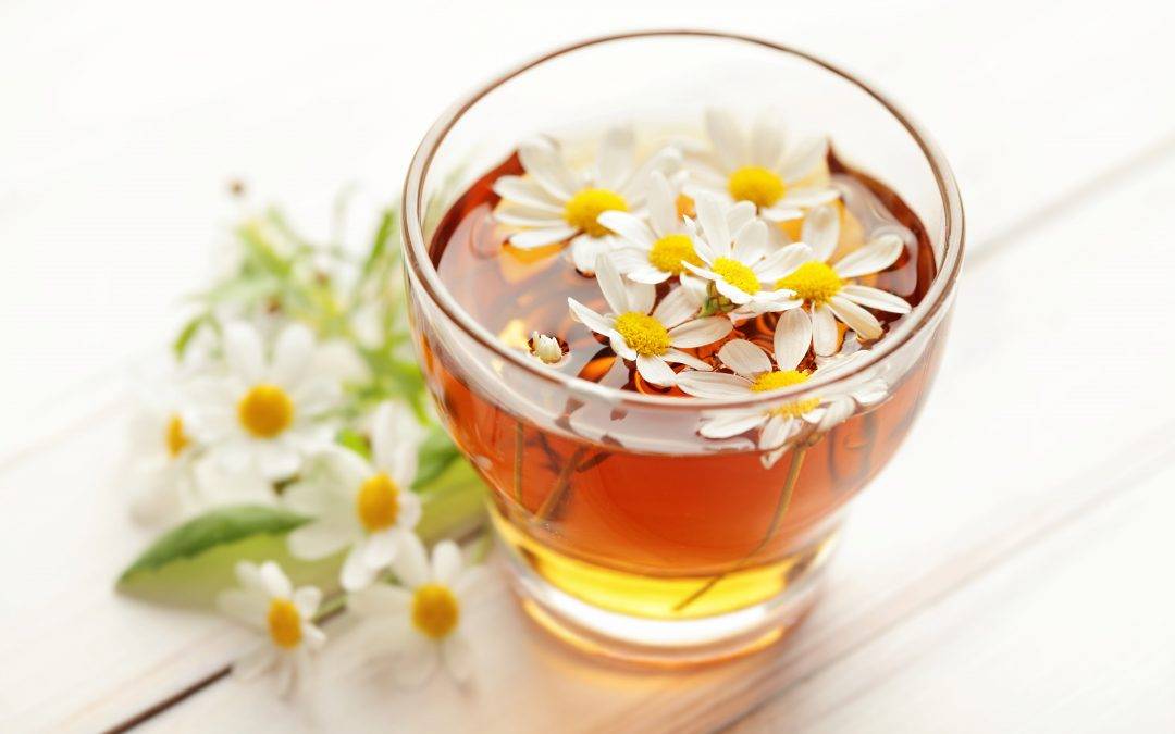 Польза и вред от ромашкового чая для здоровья