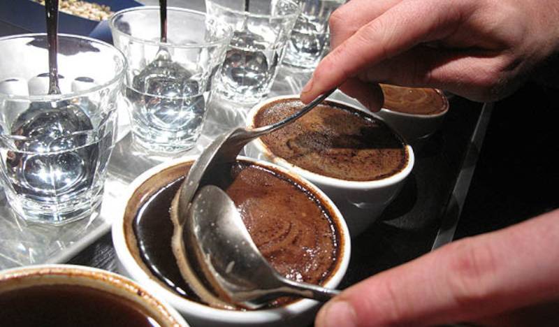 Каппинг кофе - что такое и как проводится дегустация