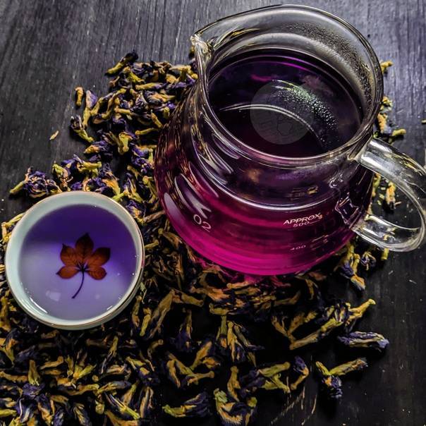 Полезные свойства чая с лавандой: как заваривать и пить