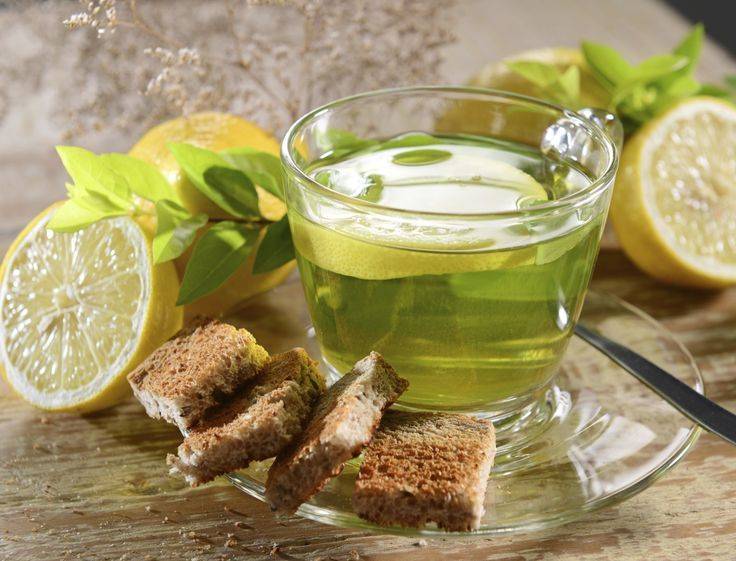 Чай с мятой польза и вред для здоровья человека