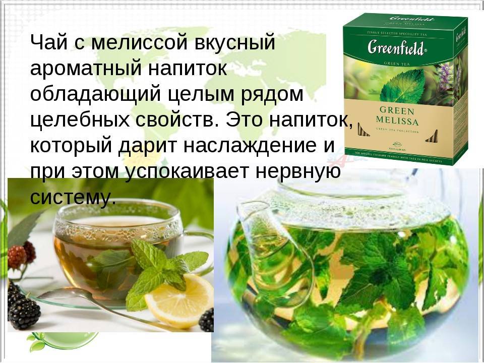 Зеленый чай с мятой - 88 рецептов: напитки | foodini