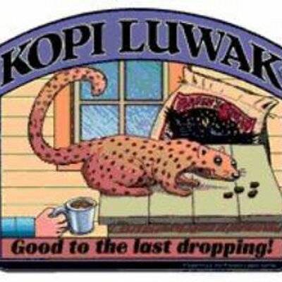 Kopi luwak – один из самых дорогих сортов кофе в мире