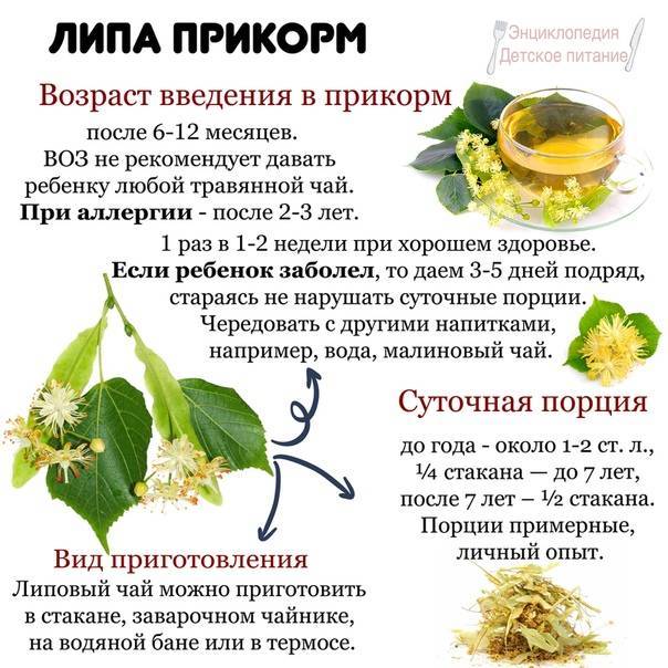 Желчегонный чай: состав трав, полезные свойства, как принимать