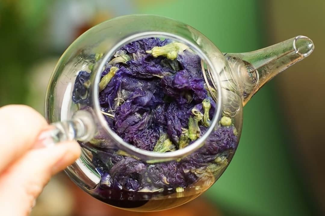 “синий чай: полезные свойства и правильное употребление удивительного чая, рецепты заваривания”