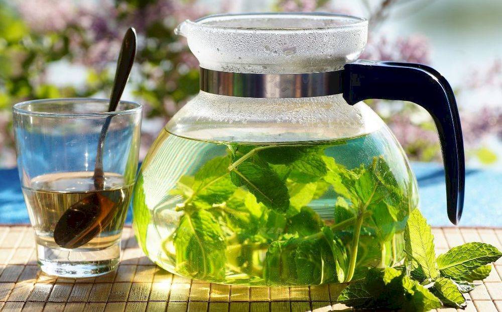 Мелисса чай полезные свойства и противопоказания