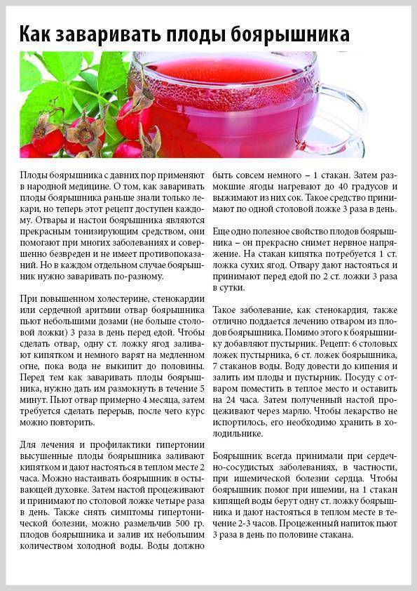 Сушеные ягоды боярышника применение. как употреблять ягоды боярышника? | здоровье человека