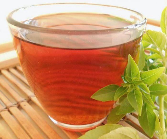 Правильно готовим и пьем базиликовый чай