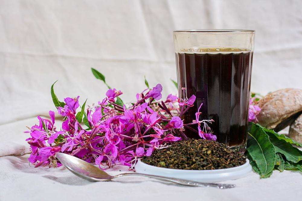 Иван-чай - описание, польза и вред для организма, состав, применение в кулинарии