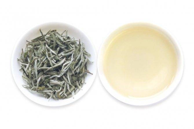 Что такое белый чай и как его производят? польза и вред