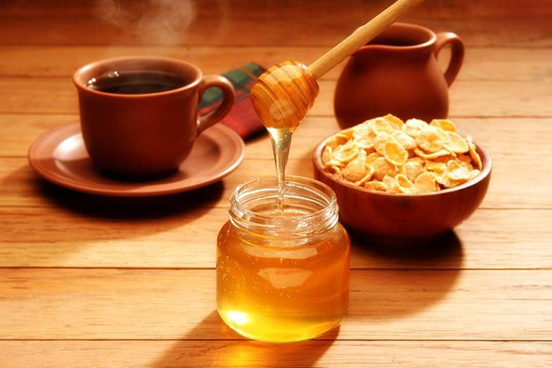 Кофе с медом: можно ли пить, польза и вред, калорийность, рецепты приготовления с молоком, корицей, чесноком