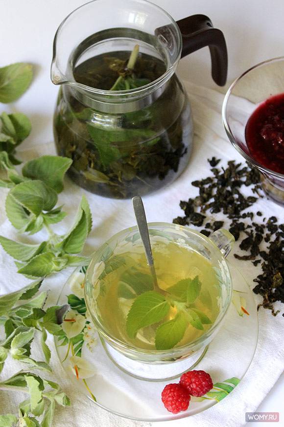 Мятный чай: польза и вред для женщин, свойства чая с мятой