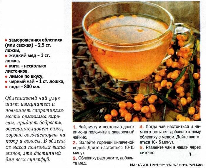 Облепиховый чай из замороженной облепихи: лучший рецепт