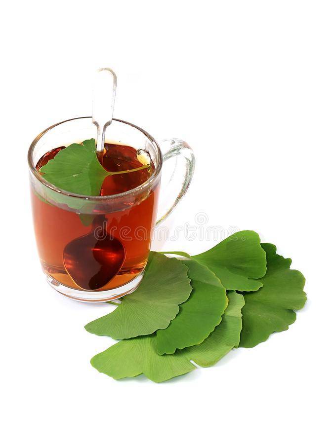 Чай гинкго билоба — чай, продлевающий молодость
