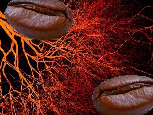 Как кофе влияет на сосуды головного мозга: сужает или расширяет