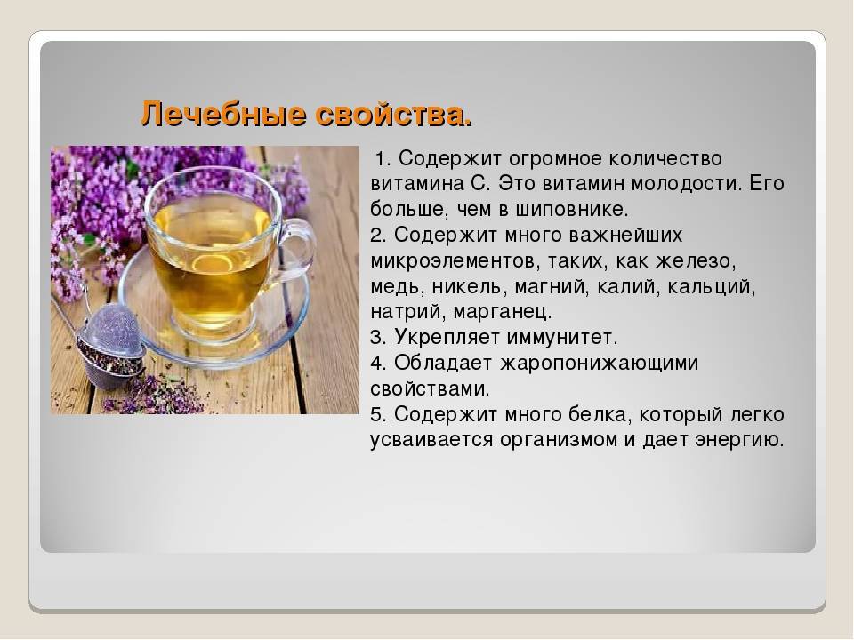 Иван чай (кипрей) – полезные свойства для женщин