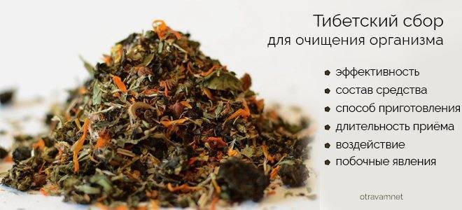 Тибетский чай с маслом: состав, рецепт, польза