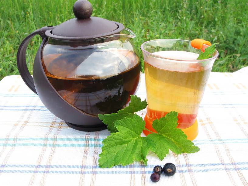 Чай из листьев смородины для лечения и профилактики болезней