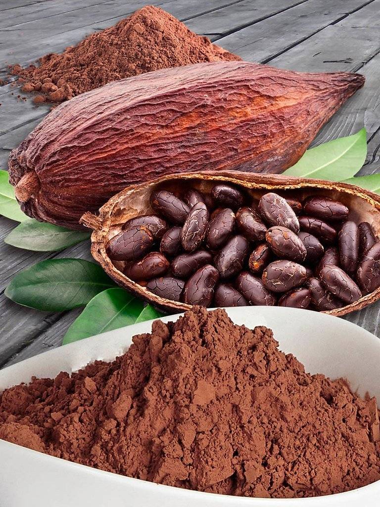 Какое какао хорошее по качеству и как его выбрать — рейтинг 2021 года