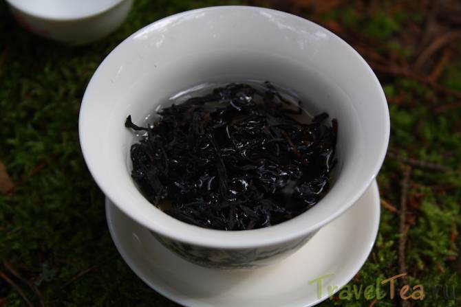 Как приготовить чай и сироп из топинамбура, природного источника