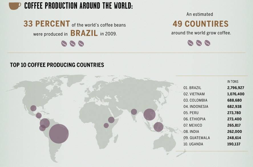 Крупнейшие страны производители кофе в мире: рейтинг 2021 года