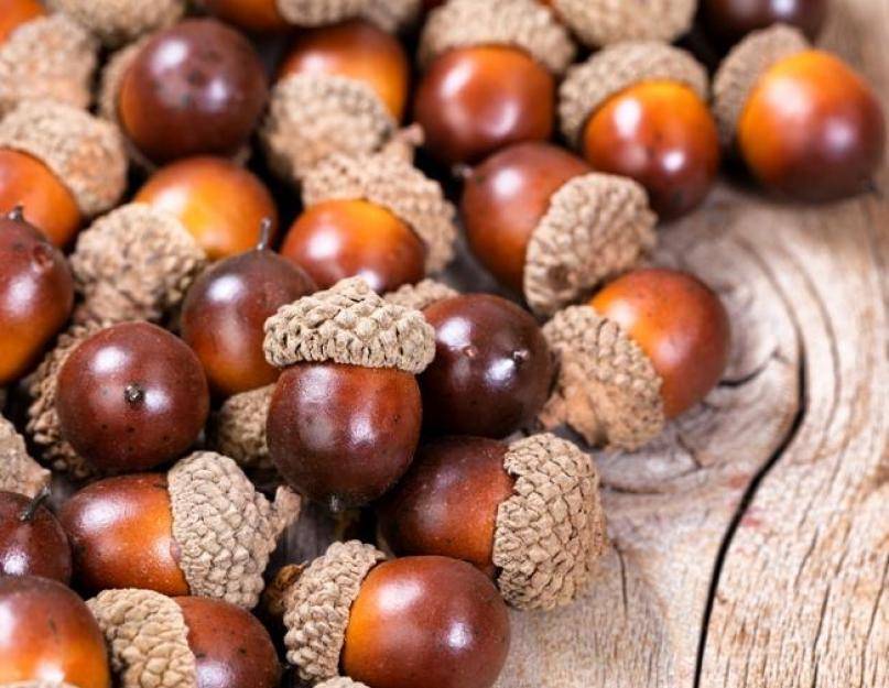 mixed nuts acorns investing
