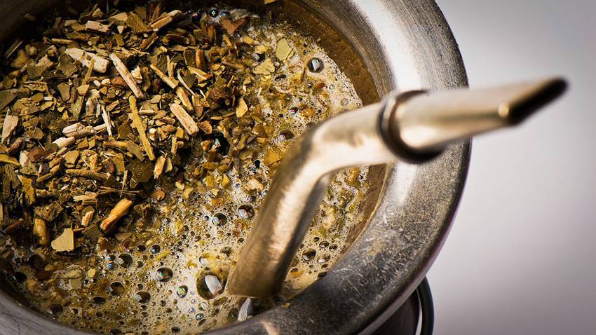 В чем польза чая мате и как избежать вреда для организма?