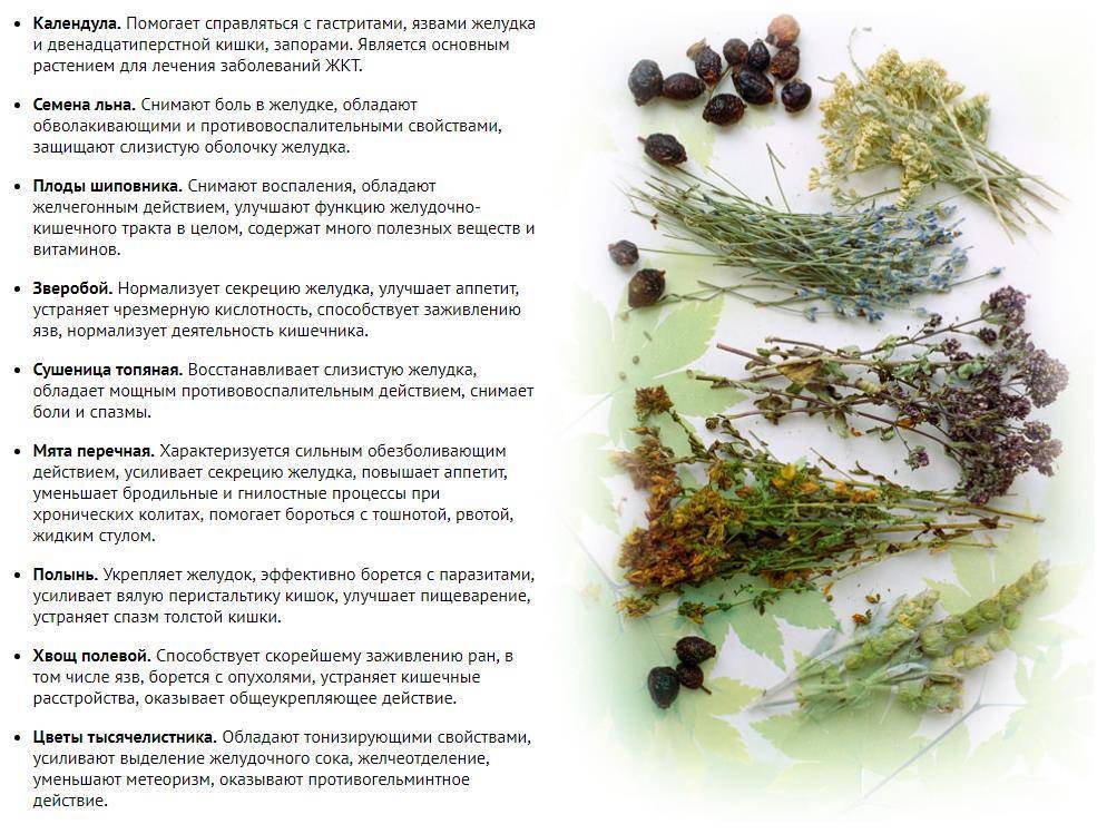 Татарский чай: рецепты, особенности, полезные свойства