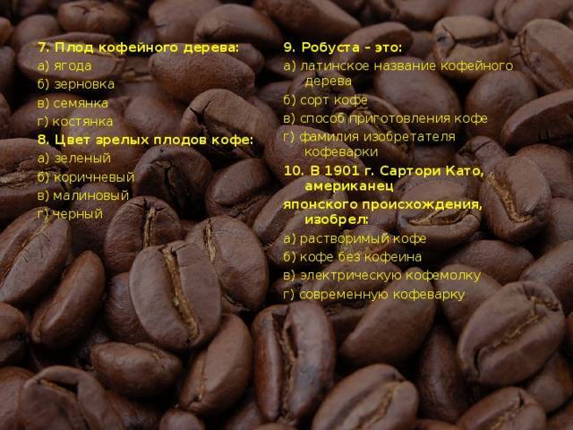 Сорта кофе и их характеристика: классификация зерен