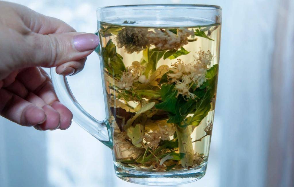 Чай из листьев смородины польза и вред - основные характеристики