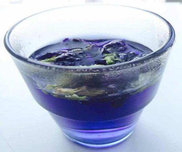 Как правильно завривать синий чай (анчан) из тайланда: полезные свойства