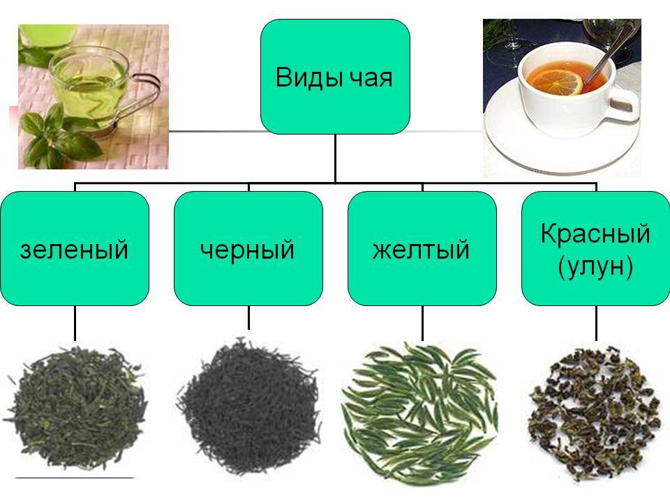 Как выбрать настоящий чай