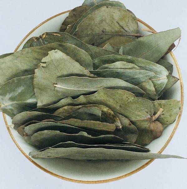 Чай из листьев эвкалипта