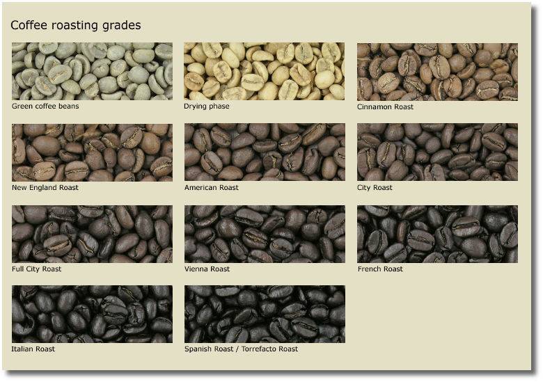 Степени обжарки кофе (свежа, средняя, темная, светлая и др.). какие бывают сорта