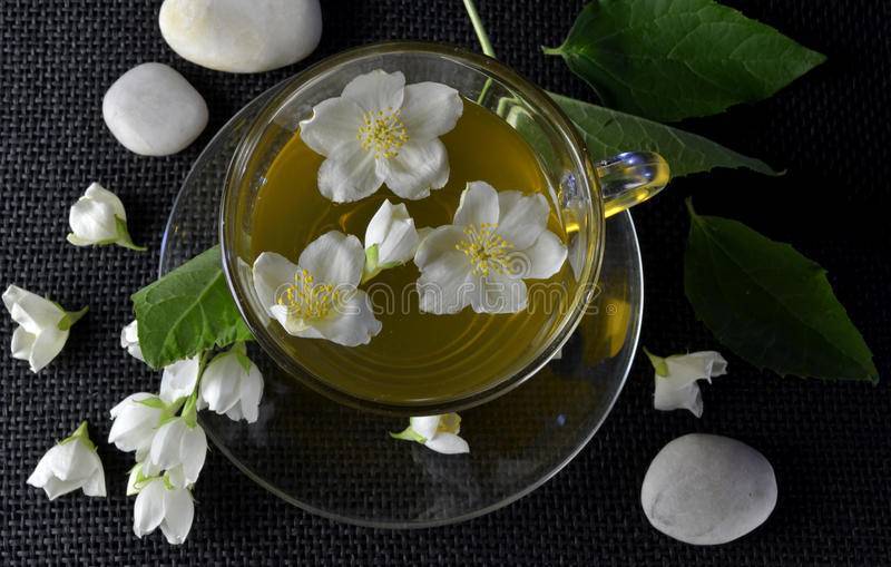 Зеленый чай с жасмином: польза, вред, свойства, как заваривать